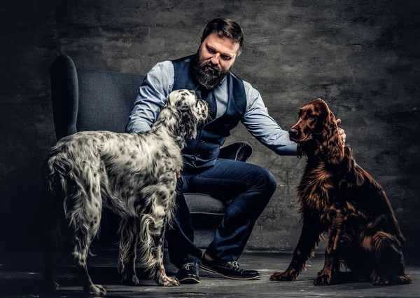 Caçador barbudo vestindo roupas elegantes sentado em um sofá com seus dois cães Setter de raça pura . — Fotografia de Stock