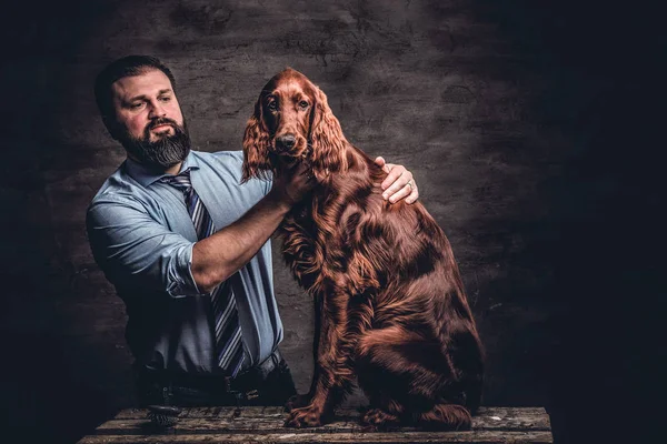 Středního věku lovec ukazuje svou udržovanou plnokrevník anglický Setr kdo sedí na dřevěný podstavec. — Stock fotografie