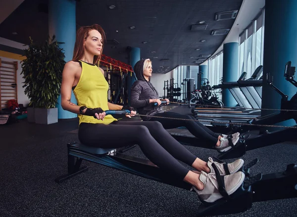 Deux belles jeunes femmes travaillant sur des machines à ramer à la salle de gym moderne. Formation croisée — Photo