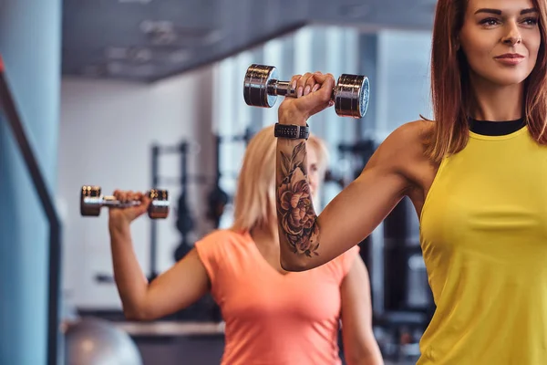 Gros plan sur les mains avec des haltères. Deux filles de fitness en vêtements de sport faisant des exercices avec des haltères dans la salle de gym moderne . — Photo