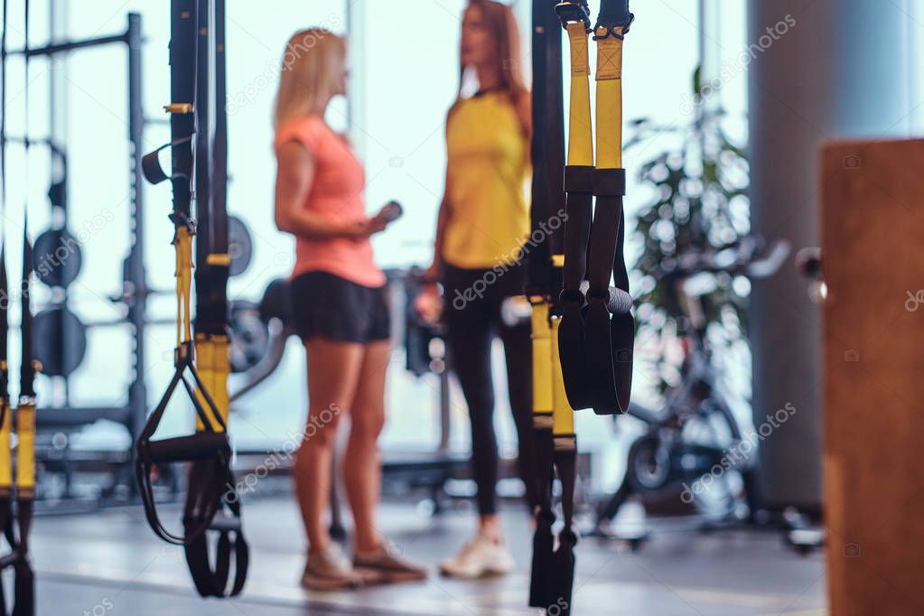 Sports suspension straps in the foreground and two fitness girls in the background in the modern gym.