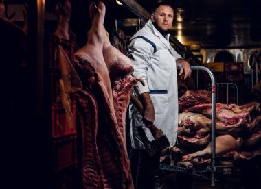 Buzdolabında bir depoda et karkas ortasında dururken bir beyaz gömlek holding AX'te kasap
