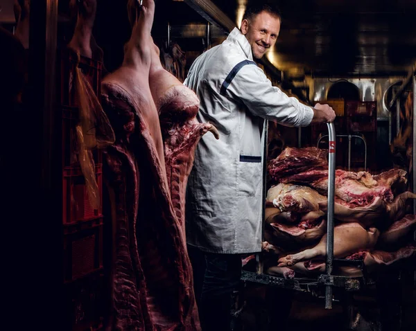 고기 시체 가운데 냉장된 창 고에서 일 하는 작업복에 정육점 — 스톡 사진