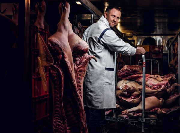 Açougueiro em vestuário de trabalho que trabalha num entreposto frigorífico no meio de carcaças de carne — Fotografia de Stock