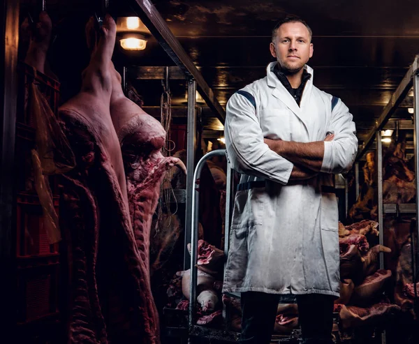 Carniceiro em vestuário de trabalho com os braços cruzados num armazém refrigerado no meio de carcaças de carne — Fotografia de Stock