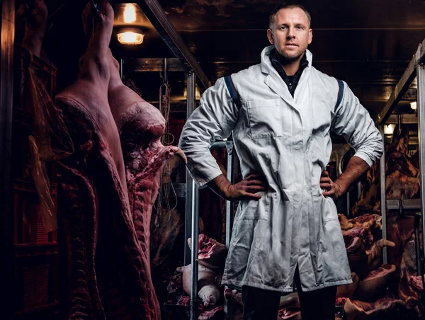 Carnicero en ropa de trabajo posando en un almacén refrigerado en medio de cadáveres de carne —  Fotos de Stock