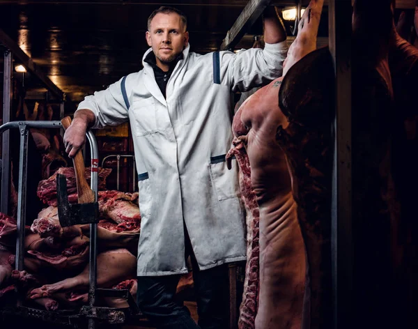 Açougueiro com uma camisa branca segurando machado enquanto estava em um armazém refrigerado no meio de carcaças de carne — Fotografia de Stock