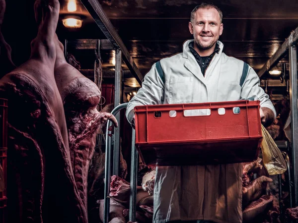 Carniceiro alegre em vestuário de trabalho segurando uma caixa com pedaços de carne no meio de carcaças de carne — Fotografia de Stock