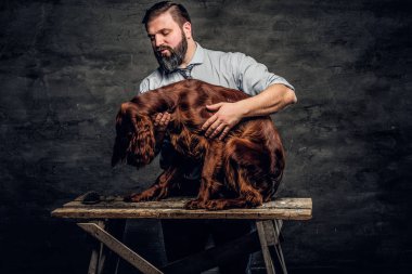 Onun İngilizce Setter orta yaşlı sakallı bir ahşap kaide üzerinde oturan