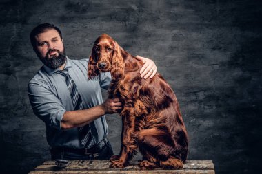 Orta yaşlı avcı gösterir onun su kuyusu-damat safkan İngiliz seterim ahşap bir kaide üzerinde oturan.