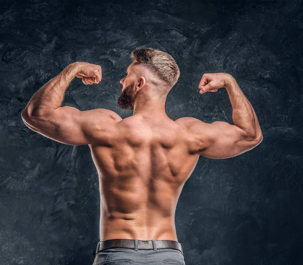 Uomo barbuto senza maglietta che mostra i suoi grandi muscoli della schiena. Studio foto su uno sfondo scuro parete — Foto Stock