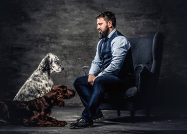 Onun iki safkan Setter köpek ile bir kanepede oturan zarif kıyafetlerle sakallı avcı.