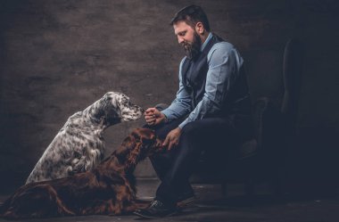 Onun iki safkan Setter köpek ile bir kanepede oturan zarif kıyafetlerle sakallı avcı.