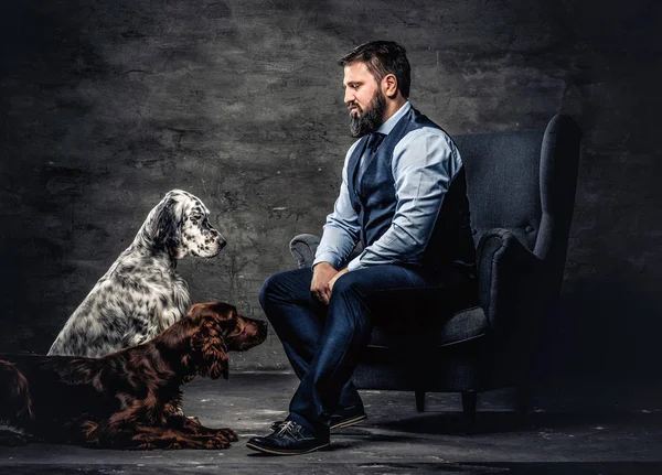 Bearded hunter wearing elegant clothes sitting on a sofa with his two purebred Setter dogs.