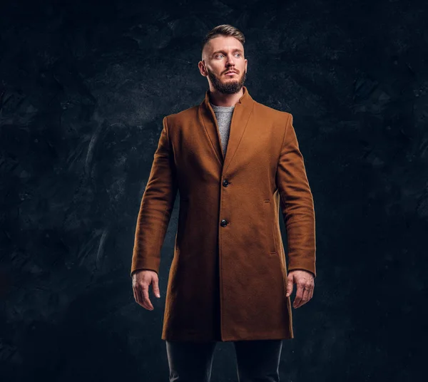 Портрет стильного мужчины в полусезонном пальто. Мужская красота, сезонная мода. Студийное фото на фоне темной стены — стоковое фото