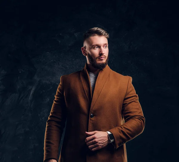 Retrato de um homem elegante vestindo o casaco demi-temporada. Beleza masculina, moda sazonal. Foto do estúdio contra um fundo de parede escura — Fotografia de Stock