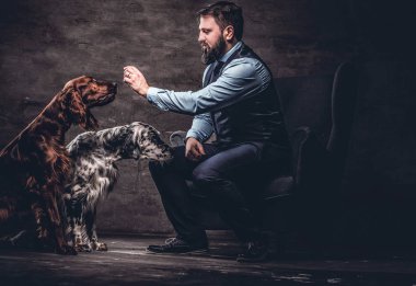 Onun iki safkan Setter köpek ile bir kanepede oturan zarif kıyafetlerle sakallı avcı.