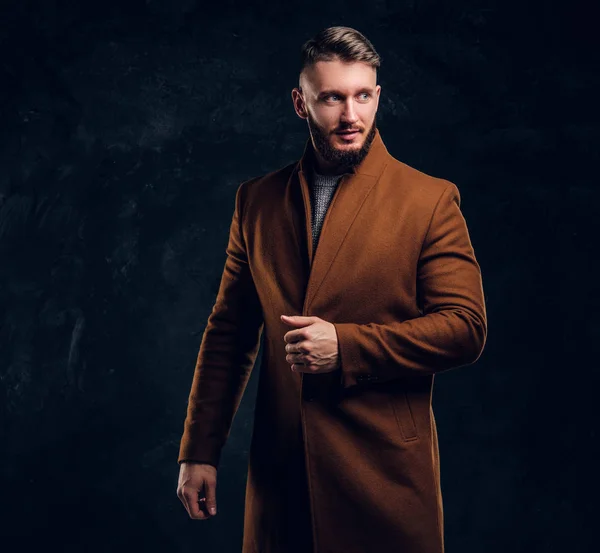 Retrato de um homem elegante vestindo o casaco demi-temporada. Beleza masculina, moda sazonal. Foto do estúdio contra um fundo de parede escura — Fotografia de Stock