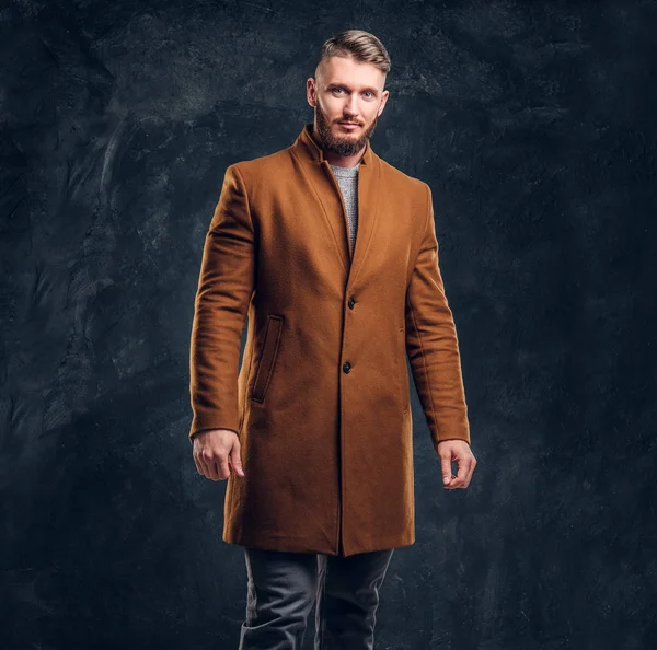 Portrét stylový muž nosí celosezónní plášť. Pánské krása, sezónní módy. Studiové fotografie pozadí tmavé stěny — Stock fotografie