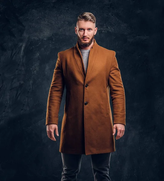 Portrait d'un homme élégant portant le manteau demi-saison. Beauté masculine, mode saisonnière. Studio photo sur un fond de mur sombre — Photo