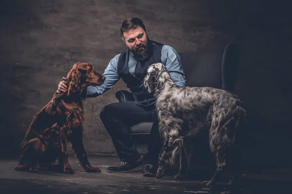 Бородатий мисливець носить елегантний одяг, сидячи на дивані з двома своїми чистокровними собаками Сеттер . — стокове фото