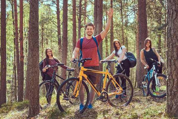 Fiatal baráti egy szép nyári napon keresztül az erdőben, biciklivel, túrázás — Stock Fotó