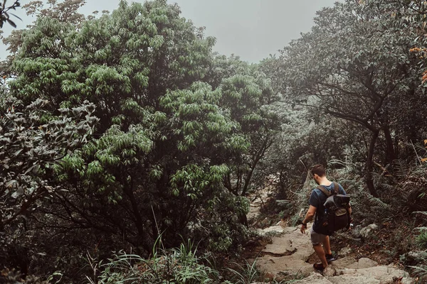 El hombre con mochila está caminando por el camino de piedra en medio del exuberante bosque de montaña verde —  Fotos de Stock