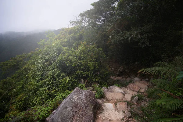Caminho de pedra com bela vista e florestas verdes ao redor — Fotografia de Stock
