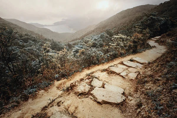 Кам'яна стежка з красивим видом і зеленими лісами навколо — стокове фото