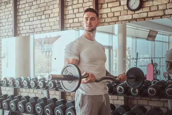 Çekici dövmeli vücut geliştirmeci spor salonunda barbell ile yaptığı egzersizleri yapıyor