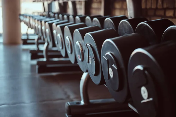 Photo of many different dumbbells in modern sunny gym — Stock Photo, Image