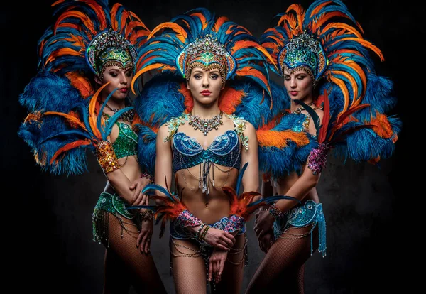Studioporträt einer Gruppe professioneller Tänzerinnen in farbenprächtigen Karnevalsfedern. — Stockfoto