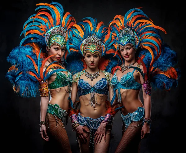 Portrait studio d'une danseuse professionnelle de groupe en costumes somptueux et colorés de plumes de carnaval . — Photo