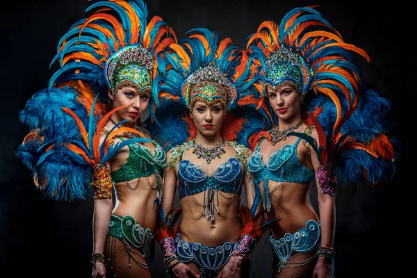 Portrait studio d'une danseuse professionnelle de groupe en costumes somptueux et colorés de plumes de carnaval . — Photo