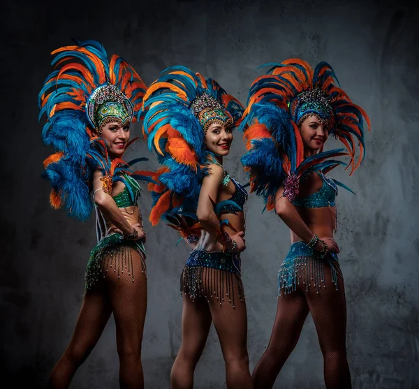 Studioporträt einer Gruppe professioneller Tänzerinnen in farbenprächtigen Karnevalsfedern. — Stockfoto