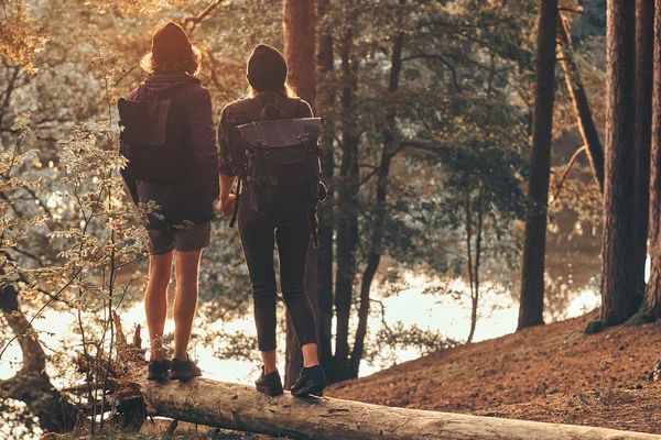 Romantik çift yeşil parlak ormanda günlük üzerinde duruyor ve gün batımını izliyor — Stok fotoğraf