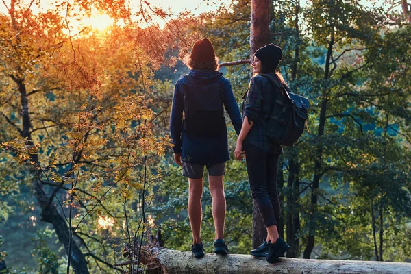 Coppia romantica è in piedi sul tronco nel verde foresta luminosa e guardando il tramonto — Foto Stock