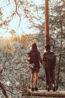 Romantik çift yeşil parlak ormanda günlük üzerinde duruyor ve gün batımını izliyor