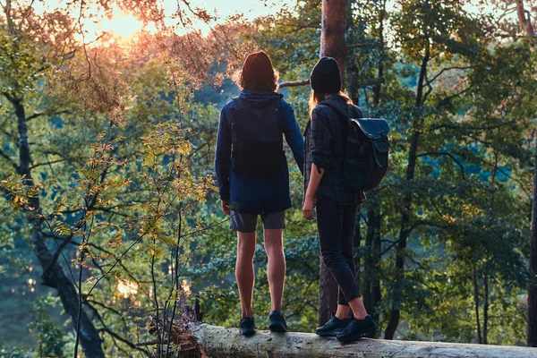 Romantik çift yeşil parlak ormanda günlük üzerinde duruyor ve gün batımını izliyor — Stok fotoğraf