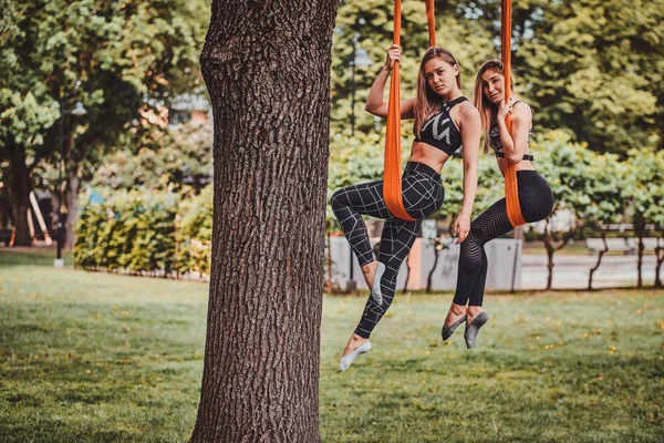 İki zarif kız yeşil parkta sapanlar üzerinde dinleniyor