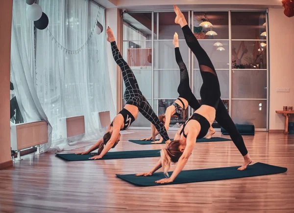 Meninas estão desfrutando pilates juntos no quarto brilhante — Fotografia de Stock