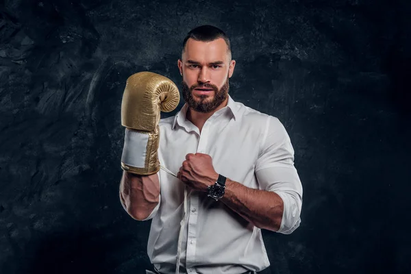 Portrait of cheeky bearded man with boxing gloves