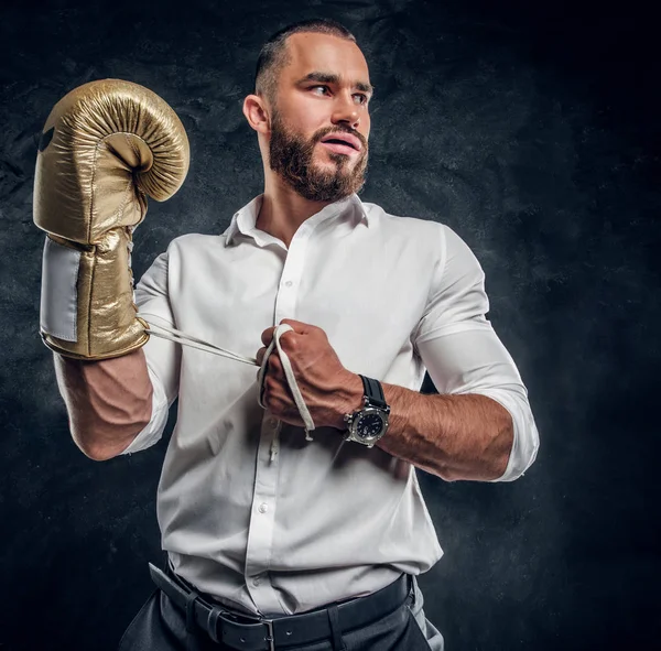 Portrait of cheeky bearded man with boxing gloves — Stock Photo, Image