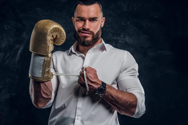 Portrait of cheeky bearded man with boxing gloves — Stock Photo, Image