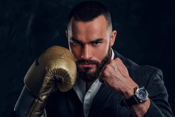 Retrato de hombre barbudo guapo en guantes de boxeo — Foto de Stock