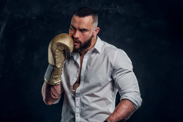 Retrato de barbudo descarado con guantes de boxeo —  Fotos de Stock