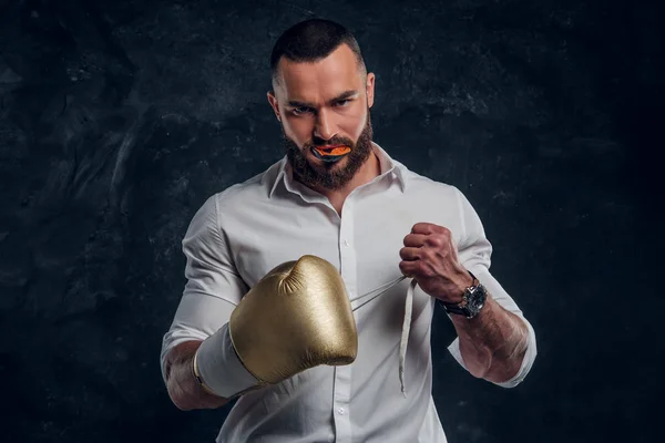 Portrait of cheeky bearded man with boxing gloves — Stock Photo, Image