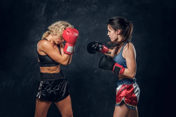 Combat entre deux boxeuses professionnelles — Photo