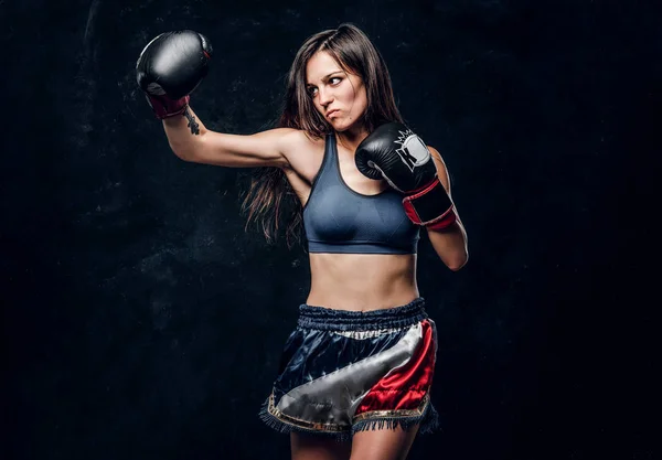 Retrato de una boxeadora bastante profesional —  Fotos de Stock