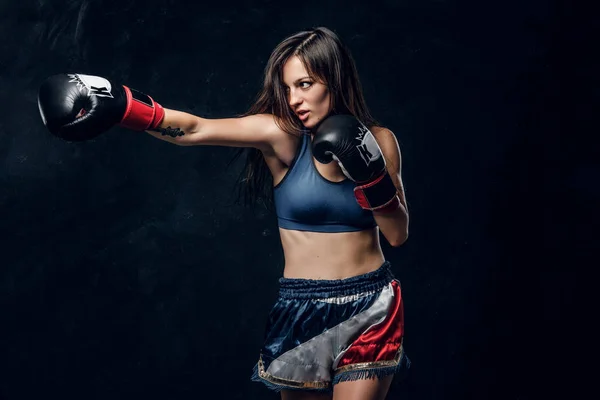 Portrait of pretty professional female boxer — Stock Photo, Image